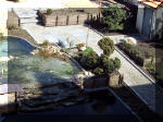Le jardin aquatique balade  2 