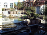 Le jardin aquatique balade  6 