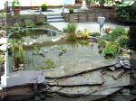 Le jardin aquatique balade 2  5 