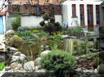 Le jardin aquatique balade 2  6 