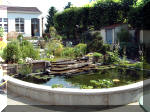 Le jardin aquatique balade 3  11 