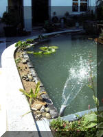 Le jardin aquatique balade 3  13 