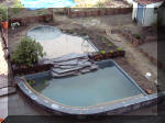 Le jardin aquatique du Brainois pose de polyester  29 