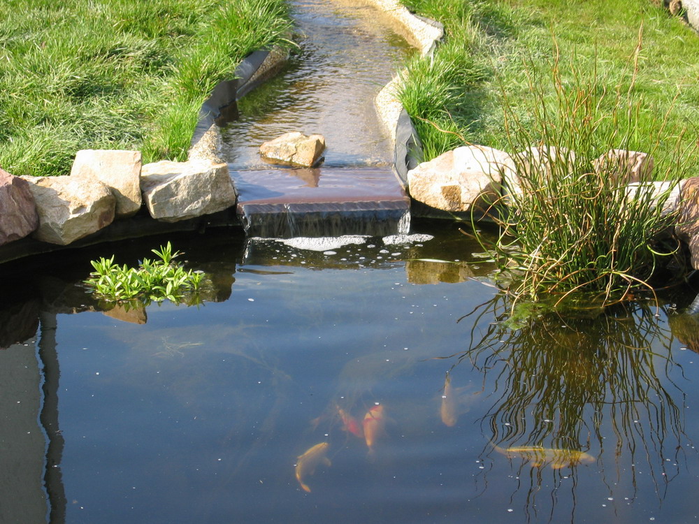 bassin de jardin avec ruisseau