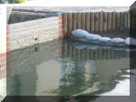 Aménagement du jardin aquatique de Patrick - le bassin 8
