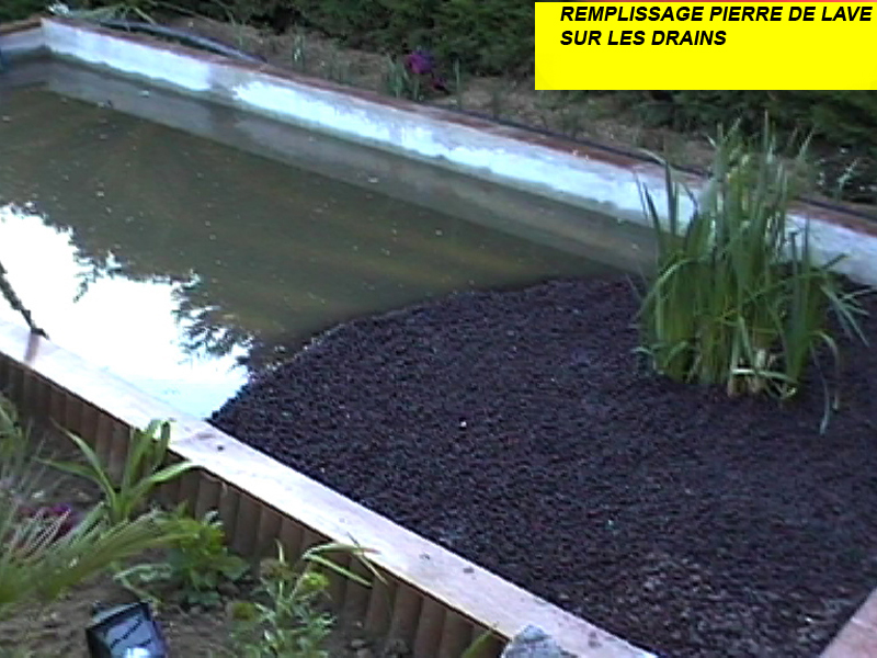 Bassin de jardin, passion bassin, les conseils pour réaliser, entretenir un