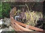 Exemple de construction de bassin Yve 5  14 