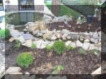 Exemple de construction de bassin Yve 5  13 
