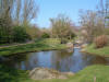 Le jardin Japonais de Hasselt - le printemps 2  24 