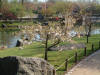 Le jardin Japonais de Hasselt - le printemps 2  27 