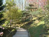 Le jardin Japonais de Hasselt - le printemps 2  36 