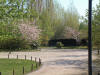 Le jardin Japonais de Hasselt - le printemps 2  40 
