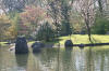 Le jardin Japonais de Hasselt - le printemps 3  32 