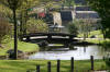 Le jardin Japonais de Hasselt - le printemps 3  38 