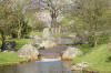 Le jardin Japonais de Hasselt - le printemps 4  16 