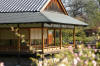 Le jardin Japonais de Hasselt - le printemps 4  23 