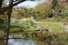 Le jardin Japonais de Hasselt - le printemps 4  40 