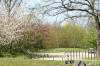 Le jardin Japonais de Hasselt - le printemps 2  37 