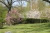 Le jardin Japonais de Hasselt - le printemps 2  39 