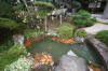 Japan garden in Izumo page 2  42 