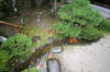 Japan garden in Izumo page 2  36 
