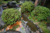Japan garden in Izumo page 2  32 