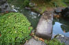Japan garden in Izumo page 2  28 