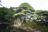 Japan garden in Izumo page 2  21 