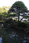 Japan garden in Izumo page 2  2 