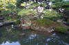 Japan garden in Izumo page 3  51 