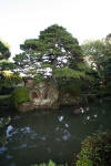 Japan garden in Izumo page 3  37 