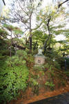 Japan garden in Izumo page 3  12 
