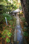 Japan garden in Izumo page 3  7 