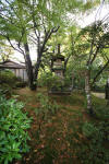 Japan garden in Izumo page 3  9 