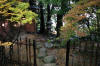 Japan garden in Izumo page 3  8 