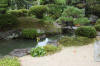 Japan garden in Izumo page 4  45 