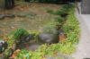 Japan garden in Izumo page 4  43 
