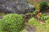 Japan garden in Izumo page 4  42 