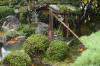 Japan garden in Izumo page 4  40 