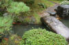 Japan garden in Izumo page 4  38 