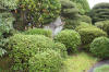 Japan garden in Izumo page 4  28 