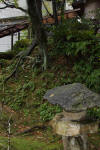 Japan garden in Izumo page 4  3 