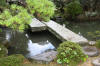 Japan garden in Izumo page 4  6 
