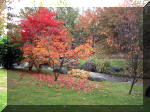 Jardin Japonais de Hasselt