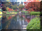 Jardin Japonais de Hasselt