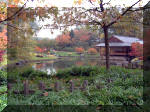 Jardin Japonais de Hasselt