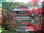 Jardin Japonais de Hasselt