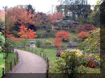 Jardin Japonais de Hasselt