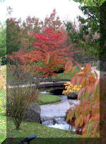 Jardin Japonais de Hasselt