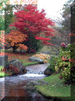 Jardin Japonais de Hasselt